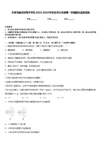 天津市南开区翔宇学校2023-2024学年化学九年级第一学期期末监测试题含答案