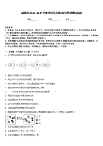 威海市2023-2024学年化学九上期末复习检测模拟试题含答案