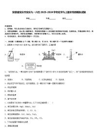 安徽省安庆市安庆九一六校2023-2024学年化学九上期末检测模拟试题含答案