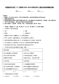 安徽省安庆市区二十二校联考2023-2024学年化学九上期末达标检测模拟试题含答案