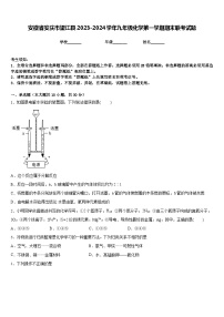 安徽省安庆市望江县2023-2024学年九年级化学第一学期期末联考试题含答案