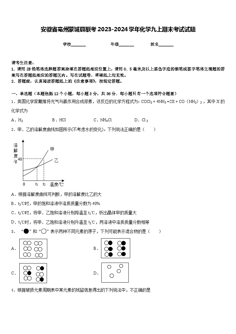 安徽省亳州蒙城县联考2023-2024学年化学九上期末考试试题含答案第1页