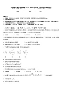 安徽省亳州蒙城县联考2023-2024学年九上化学期末联考试题含答案