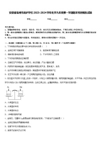 安徽省亳州市高炉学校2023-2024学年化学九年级第一学期期末检测模拟试题含答案