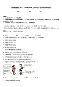 安徽省固镇县2023-2024学年九上化学期末达标检测模拟试题含答案