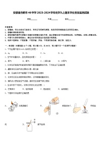 安徽省合肥市46中学2023-2024学年化学九上期末学业质量监测试题含答案