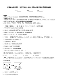 安徽省合肥市第四十五中学2023-2024学年九上化学期末检测模拟试题含答案