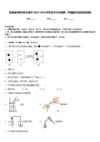 安徽省合肥市科大附中2023-2024学年化学九年级第一学期期末达标检测试题含答案