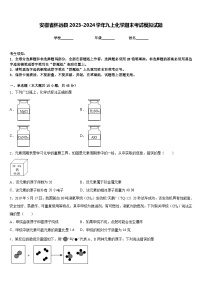 安徽省怀远县2023-2024学年九上化学期末考试模拟试题含答案