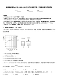 安徽省宣城市六中学2023-2024学年九年级化学第一学期期末复习检测试题含答案