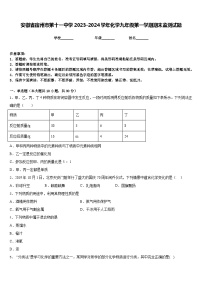 安徽省宿州市第十一中学2023-2024学年化学九年级第一学期期末监测试题含答案