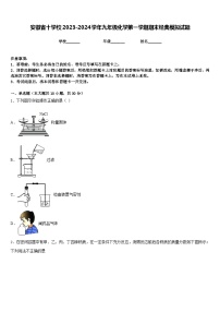 安徽省十学校2023-2024学年九年级化学第一学期期末经典模拟试题含答案