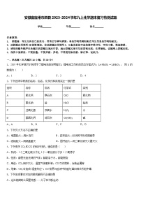 安徽省宿州市泗县2023-2024学年九上化学期末复习检测试题含答案