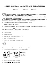 安徽省宿州市鹏程中学2023-2024学年九年级化学第一学期期末统考模拟试题含答案