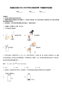 安徽省无为县2023-2024学年九年级化学第一学期期末考试试题含答案