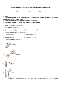 安徽省宿州地区2023-2024学年九上化学期末达标检测试题含答案