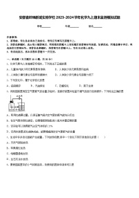 安徽省蚌埠新城实验学校2023-2024学年化学九上期末监测模拟试题含答案