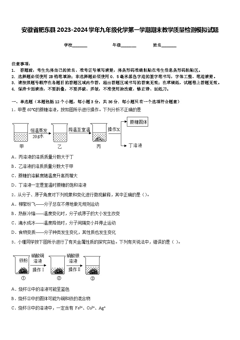 安徽省肥东县2023-2024学年九年级化学第一学期期末教学质量检测模拟试题含答案01