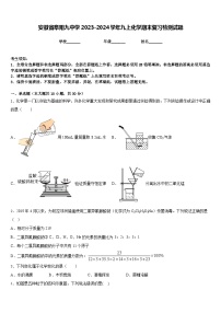 安徽省阜阳九中学2023-2024学年九上化学期末复习检测试题含答案