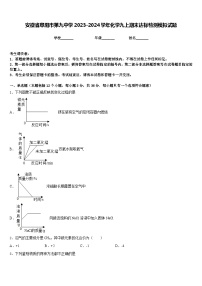 安徽省阜阳市第九中学2023-2024学年化学九上期末达标检测模拟试题含答案