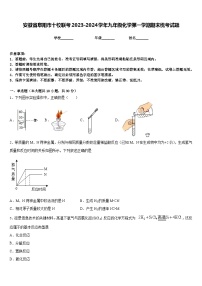 安徽省阜阳市十校联考2023-2024学年九年级化学第一学期期末统考试题含答案