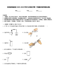 安徽省淮南地区2023-2024学年九年级化学第一学期期末联考模拟试题含答案