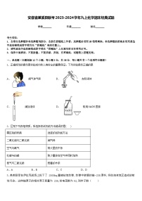 安徽省濉溪县联考2023-2024学年九上化学期末经典试题含答案