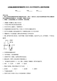 山东南山集团东海外国语学校2023-2024学年化学九上期末考试试题含答案