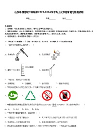 山东单县北城三中联考2023-2024学年九上化学期末复习检测试题含答案