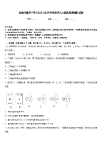 安顺市重点中学2023-2024学年化学九上期末经典模拟试题含答案