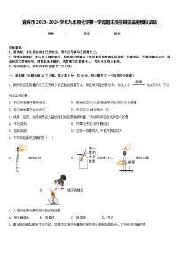 宜宾市2023-2024学年九年级化学第一学期期末质量跟踪监视模拟试题含答案