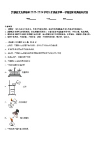 安徽省无为县联考2023-2024学年九年级化学第一学期期末经典模拟试题含答案