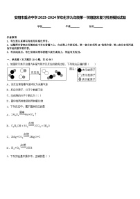 安阳市重点中学2023-2024学年化学九年级第一学期期末复习检测模拟试题含答案