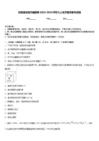 安徽省芜湖市南陵县2023-2024学年九上化学期末联考试题含答案