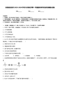 安徽省芜湖市2023-2024学年九年级化学第一学期期末教学质量检测模拟试题含答案