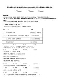 山东南山集团东海外国语学校2023-2024学年化学九上期末检测模拟试题含答案