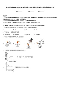 宜兴市洑东中学2023-2024学年九年级化学第一学期期末教学质量检测试题含答案