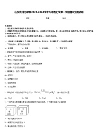 山东滨州无棣县2023-2024学年九年级化学第一学期期末预测试题含答案