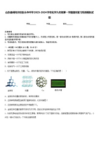 山东德州经开区抬头寺中学2023-2024学年化学九年级第一学期期末复习检测模拟试题含答案