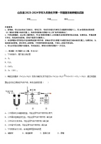 山东省2023-2024学年九年级化学第一学期期末调研模拟试题含答案