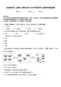 山东省安丘市、高密市、寿光市2023-2024学年化学九上期末综合测试试题含答案