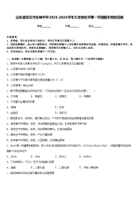 山东省安丘市东埠中学2023-2024学年九年级化学第一学期期末预测试题含答案