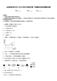 山东省博兴县2023-2024学年九年级化学第一学期期末达标检测模拟试题含答案