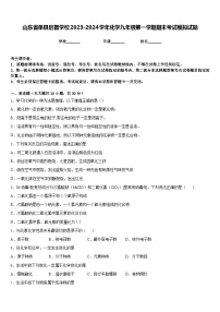 山东省单县启智学校2023-2024学年化学九年级第一学期期末考试模拟试题含答案