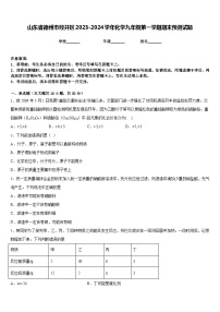 山东省德州市经开区2023-2024学年化学九年级第一学期期末预测试题含答案