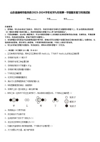 山东省德州市临邑县2023-2024学年化学九年级第一学期期末复习检测试题含答案