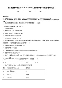 山东省德州市临邑县2023-2024学年九年级化学第一学期期末预测试题含答案