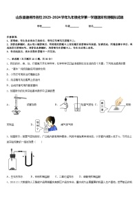 山东省德州市名校2023-2024学年九年级化学第一学期期末检测模拟试题含答案