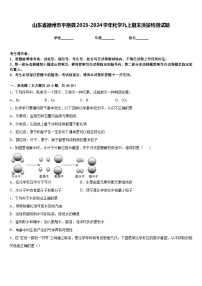 山东省德州市平原县2023-2024学年化学九上期末质量检测试题含答案