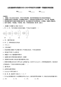 山东省德州市武城县2023-2024学年化学九年级第一学期期末预测试题含答案